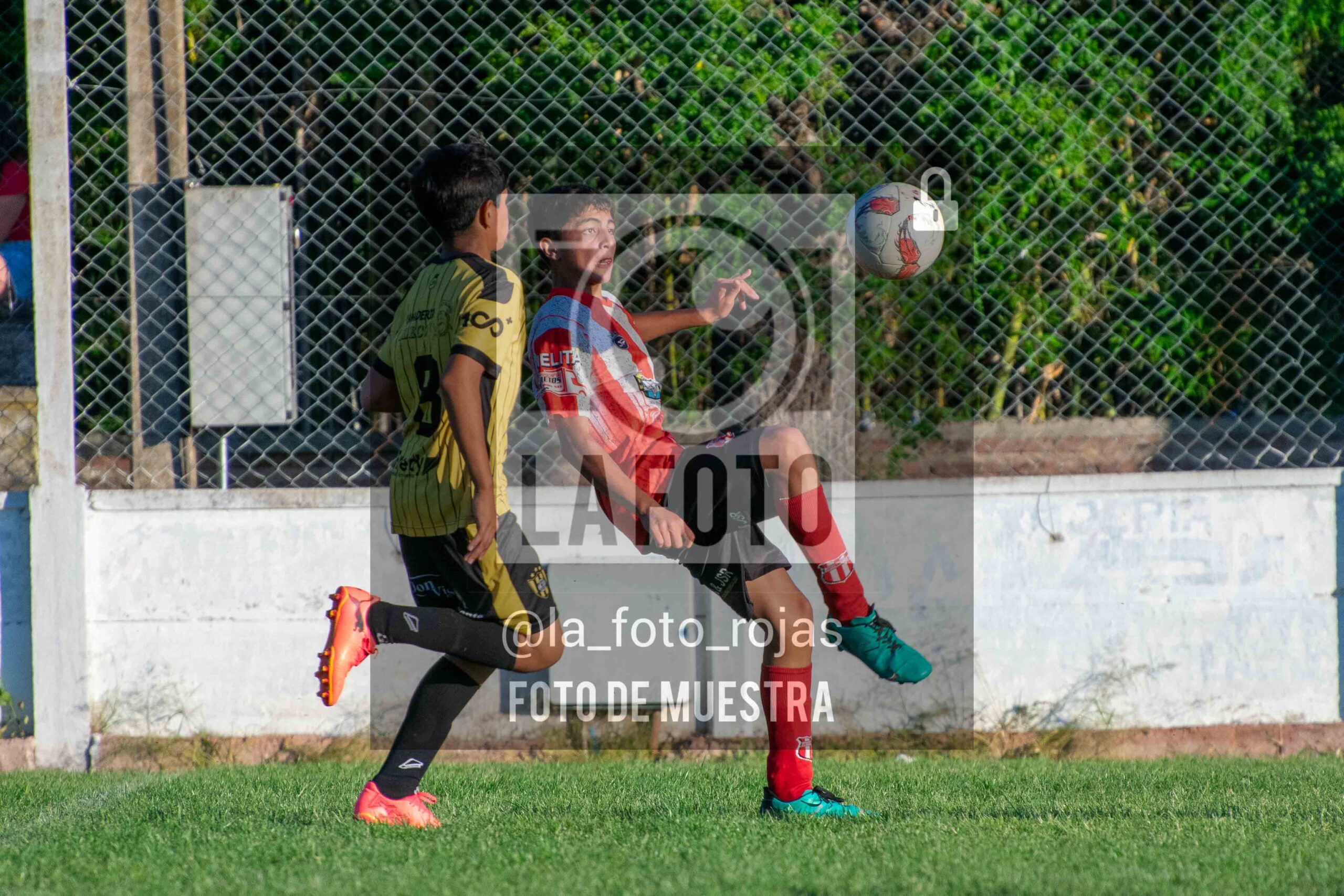 Fotografía sub13-hur-juv-83-scaled de 22-11 HURACAN JUVENTUD / SUB13