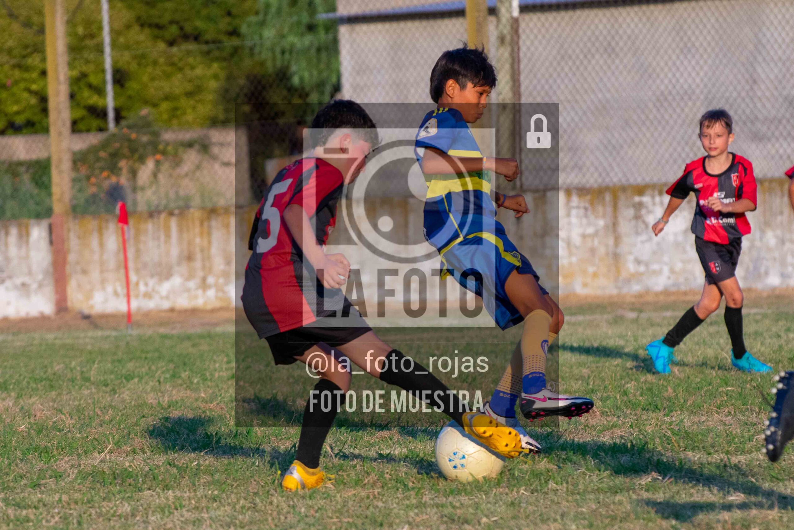 Fotografía 14-1-26-NEW-BOCA-100-scaled de 14-1-26 / MUNDIALITO JUVENTUD