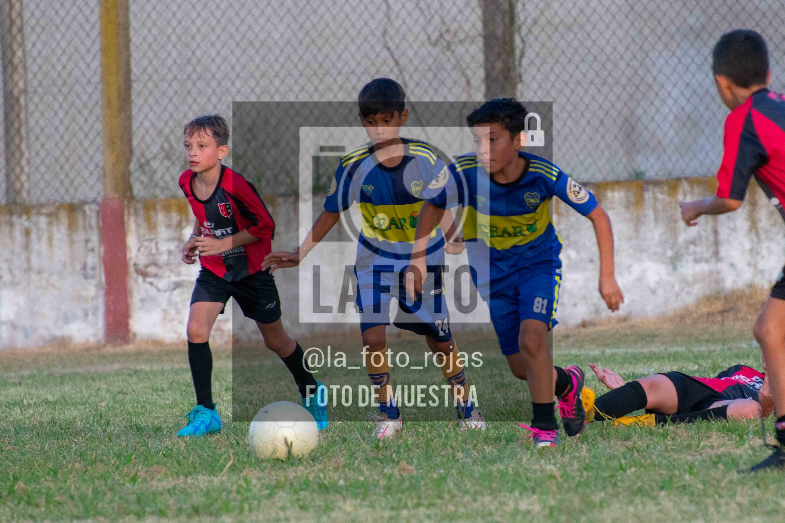 Fotografía 14-1-26-NEW-BOCA-102-scaled de 14-1-26 / MUNDIALITO JUVENTUD