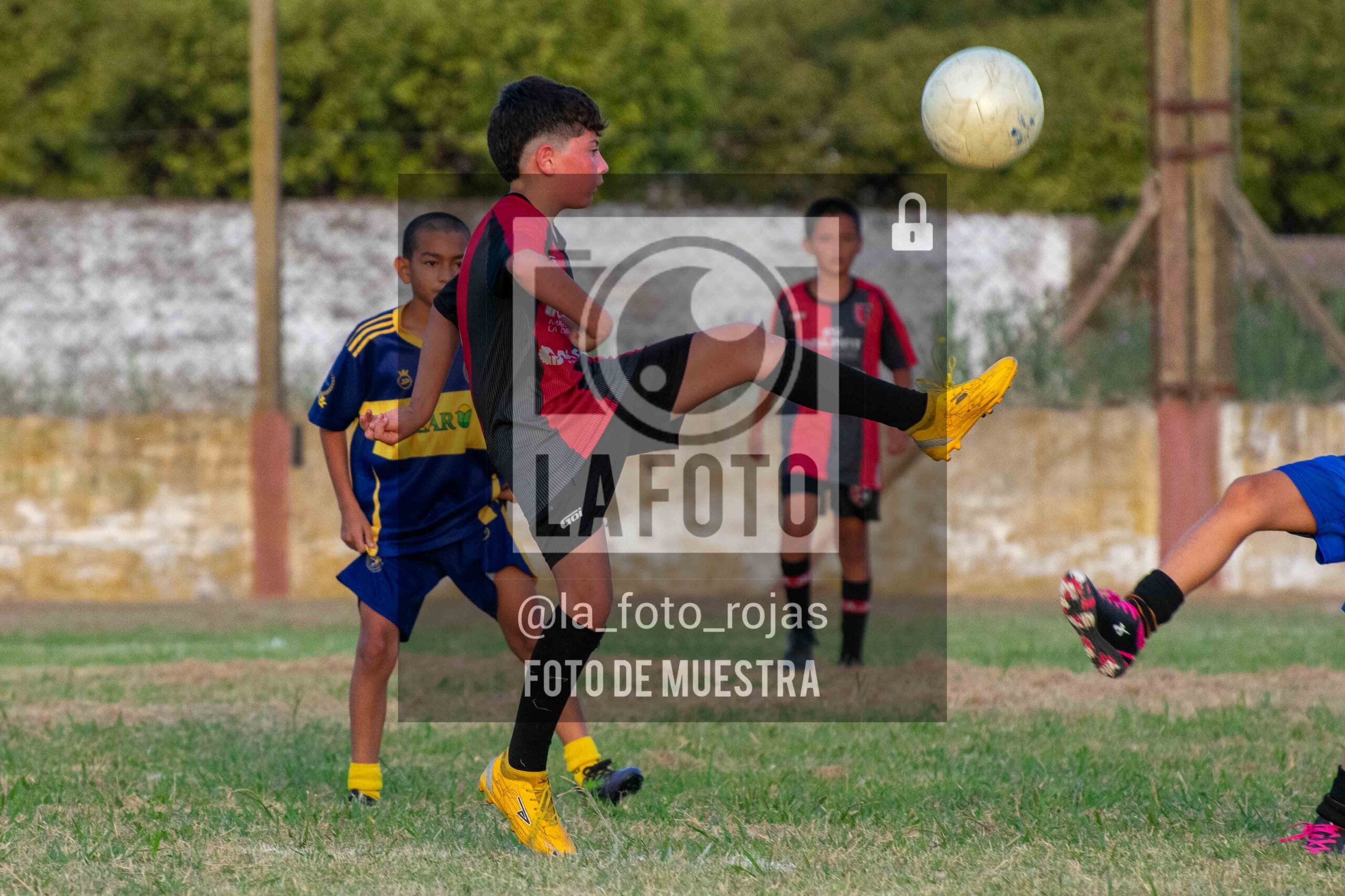 Fotografía 14-1-26-NEW-BOCA-104-scaled de 14-1-26 / MUNDIALITO JUVENTUD