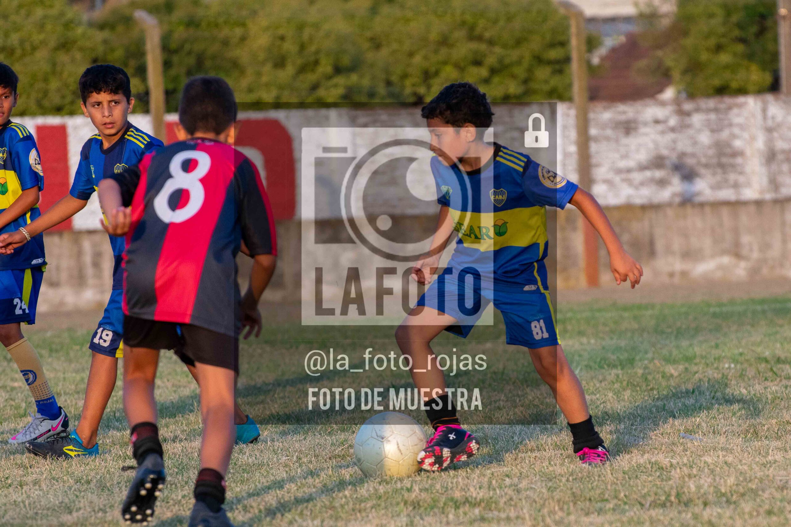 Fotografía 14-1-26-NEW-BOCA-113-scaled de 14-1-26 / MUNDIALITO JUVENTUD