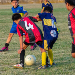 14-01-26 / NEW - BOCA / 2015