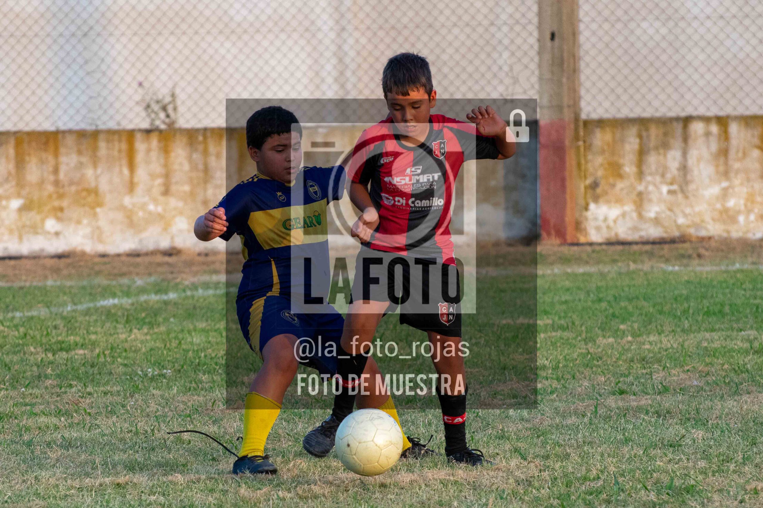 Fotografía 14-1-26-NEW-BOCA-125-scaled de 14-1-26 / MUNDIALITO JUVENTUD