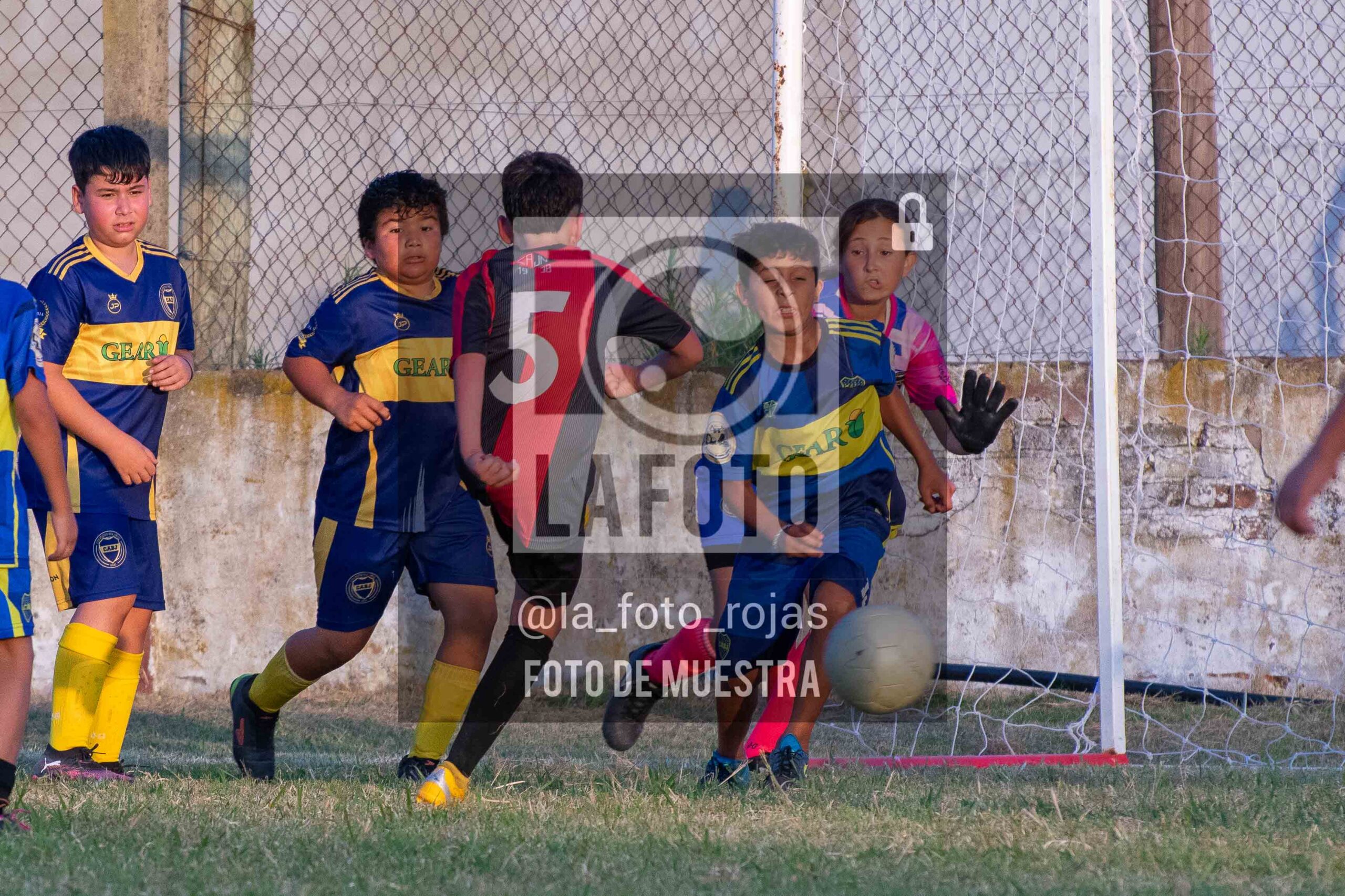 Fotografía 14-1-26-NEW-BOCA-128-scaled de 14-1-26 / MUNDIALITO JUVENTUD