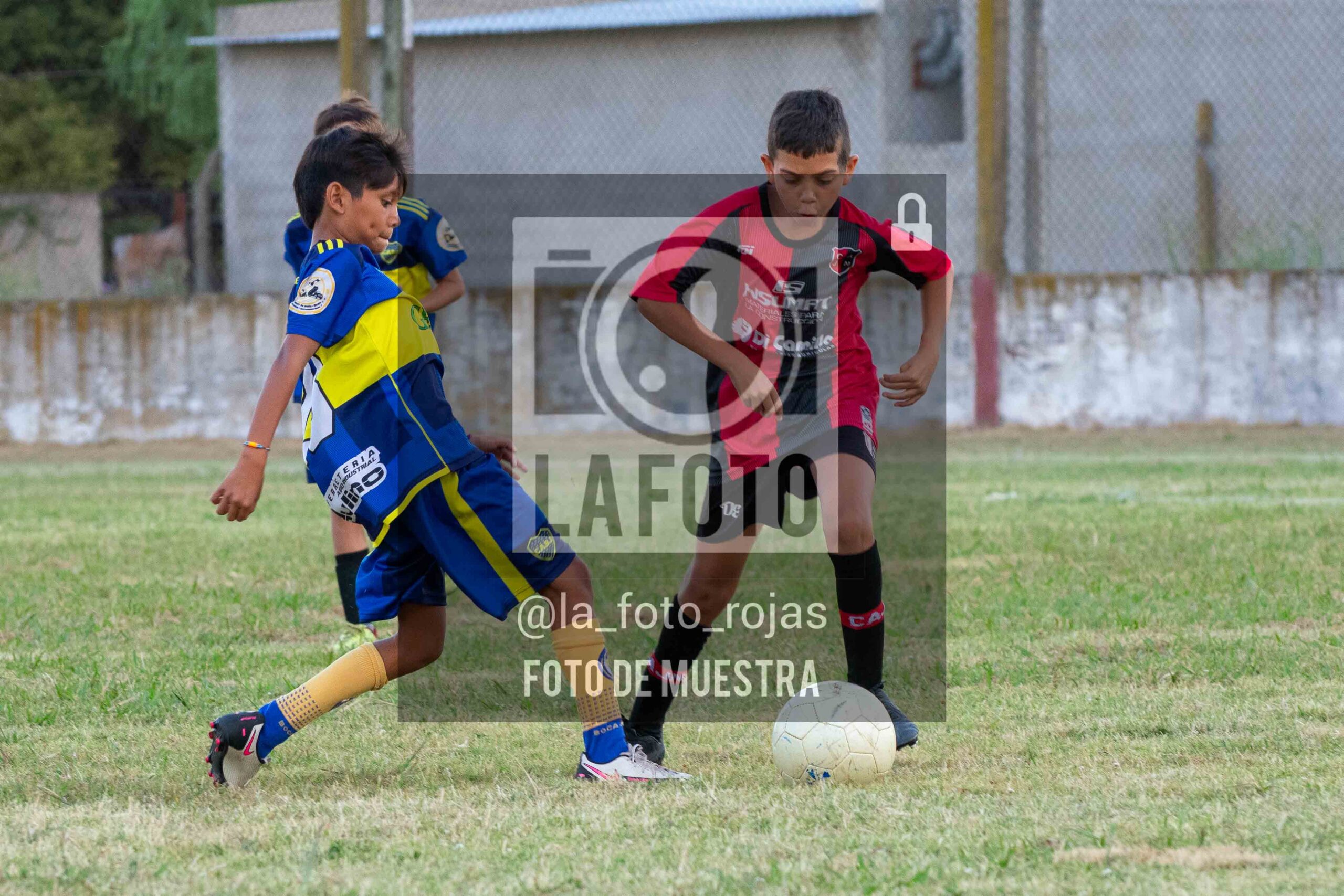 Fotografía 14-1-26-NEW-BOCA-13-scaled de 14-1-26 / MUNDIALITO JUVENTUD