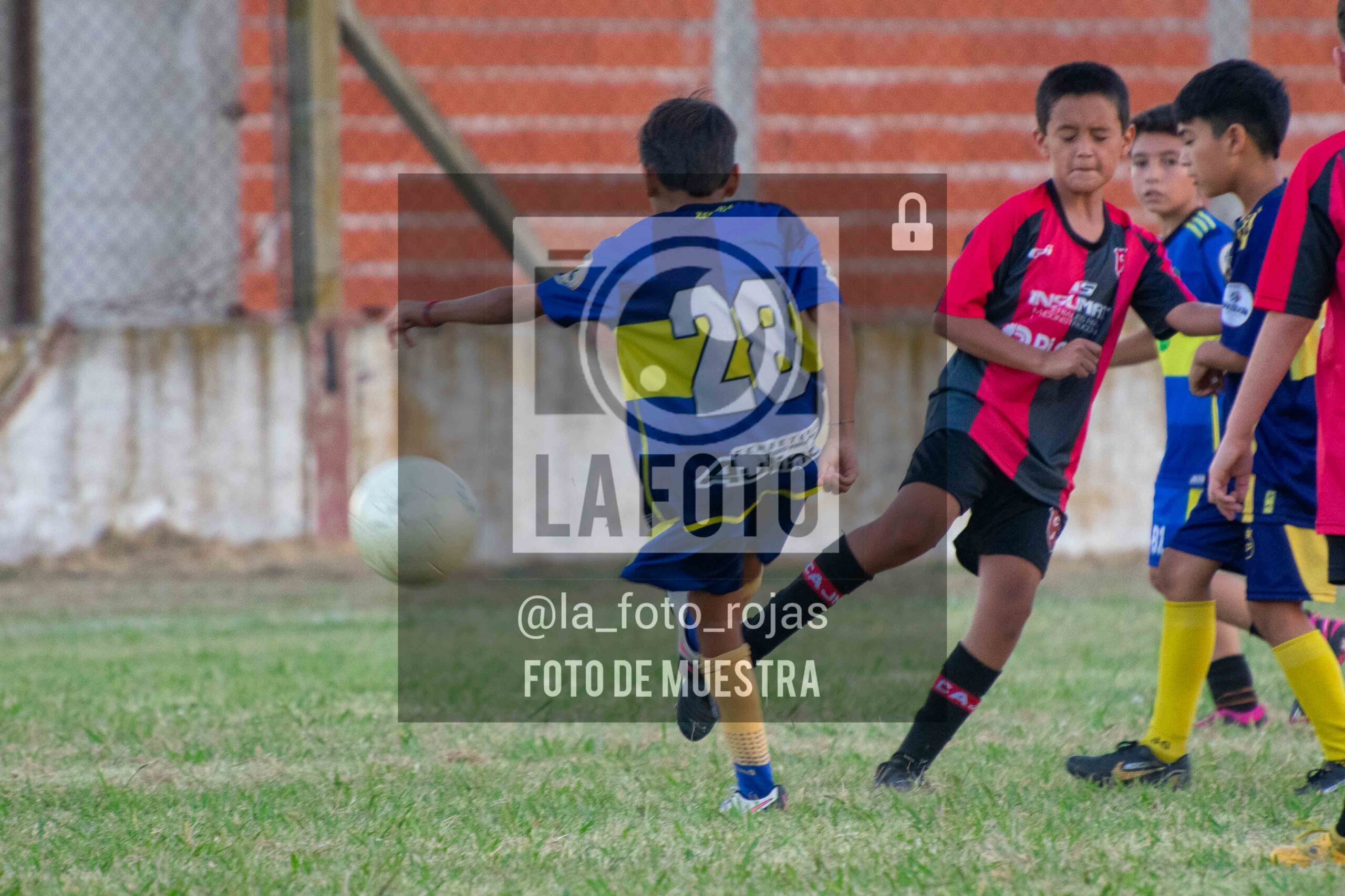 Fotografía 14-1-26-NEW-BOCA-45-scaled de 14-1-26 / MUNDIALITO JUVENTUD