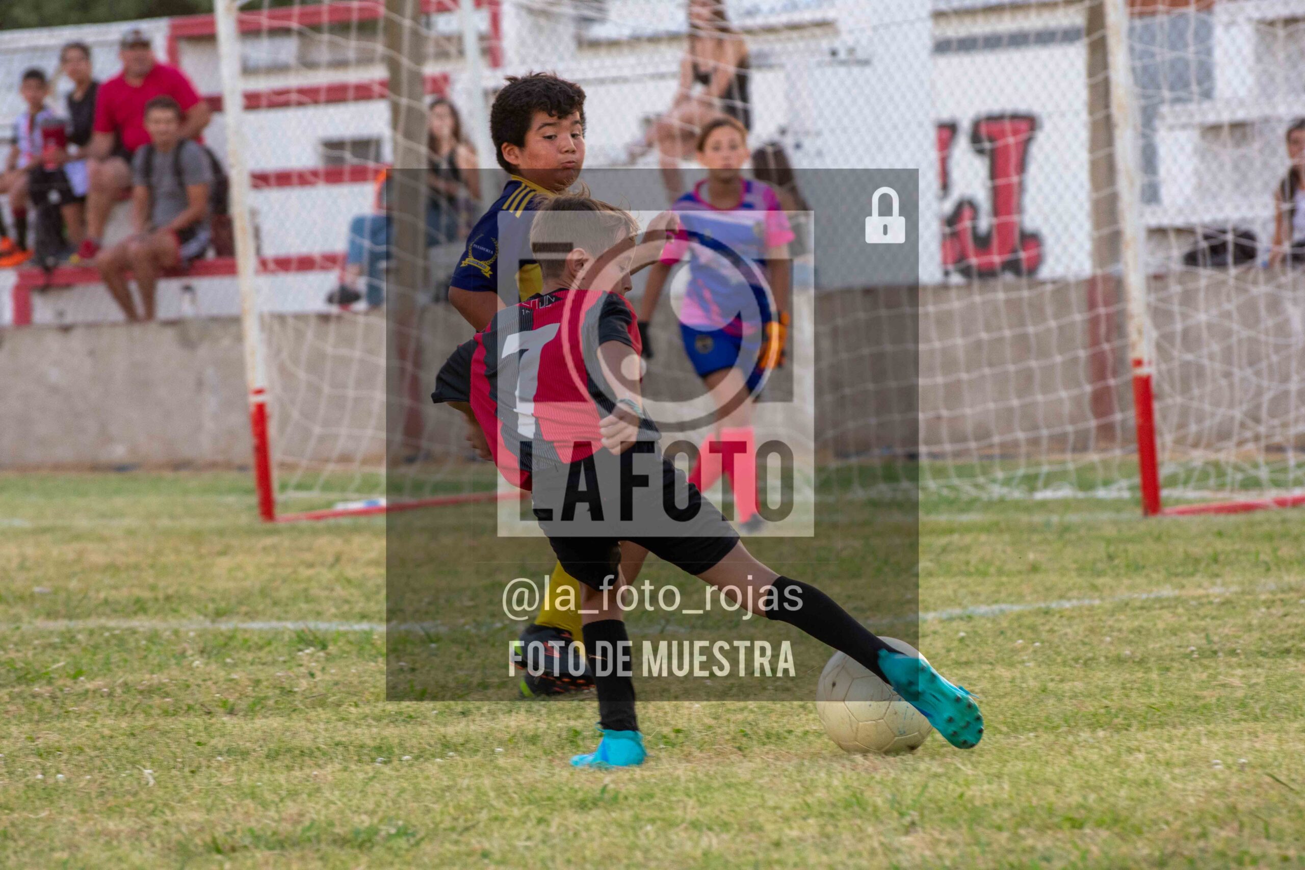 Fotografía 14-1-26-NEW-BOCA-56-scaled de 14-1-26 / MUNDIALITO JUVENTUD