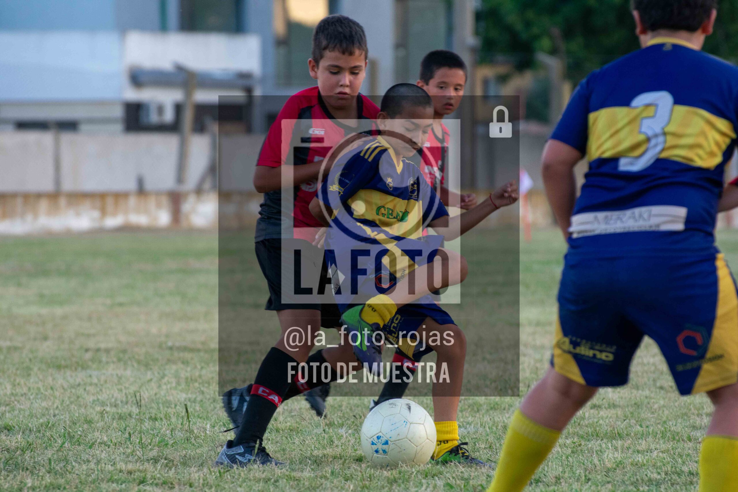 Fotografía 14-1-26-NEW-BOCA-70-scaled de 14-1-26 / MUNDIALITO JUVENTUD