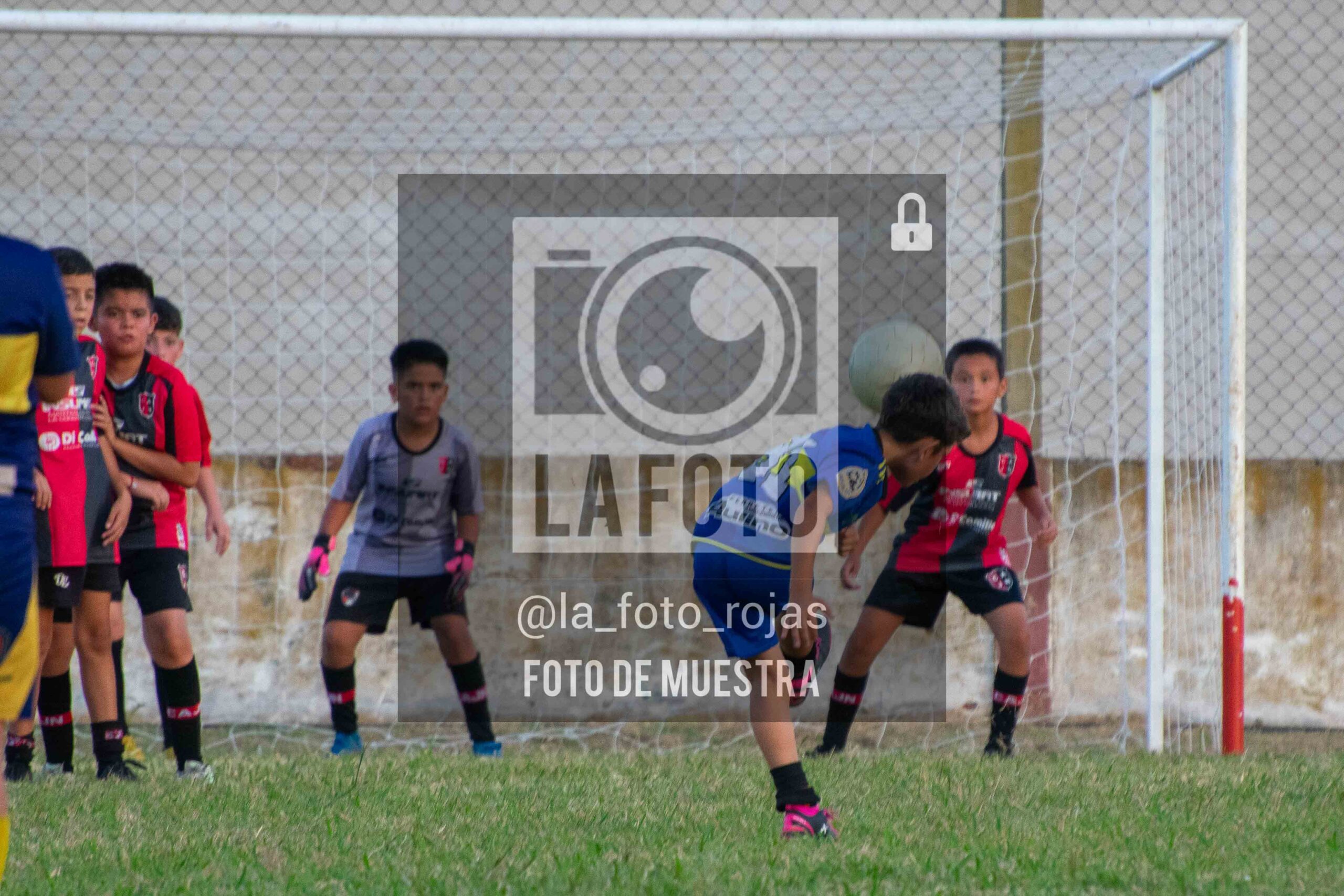 Fotografía 14-1-26-NEW-BOCA-79-scaled de 14-1-26 / MUNDIALITO JUVENTUD
