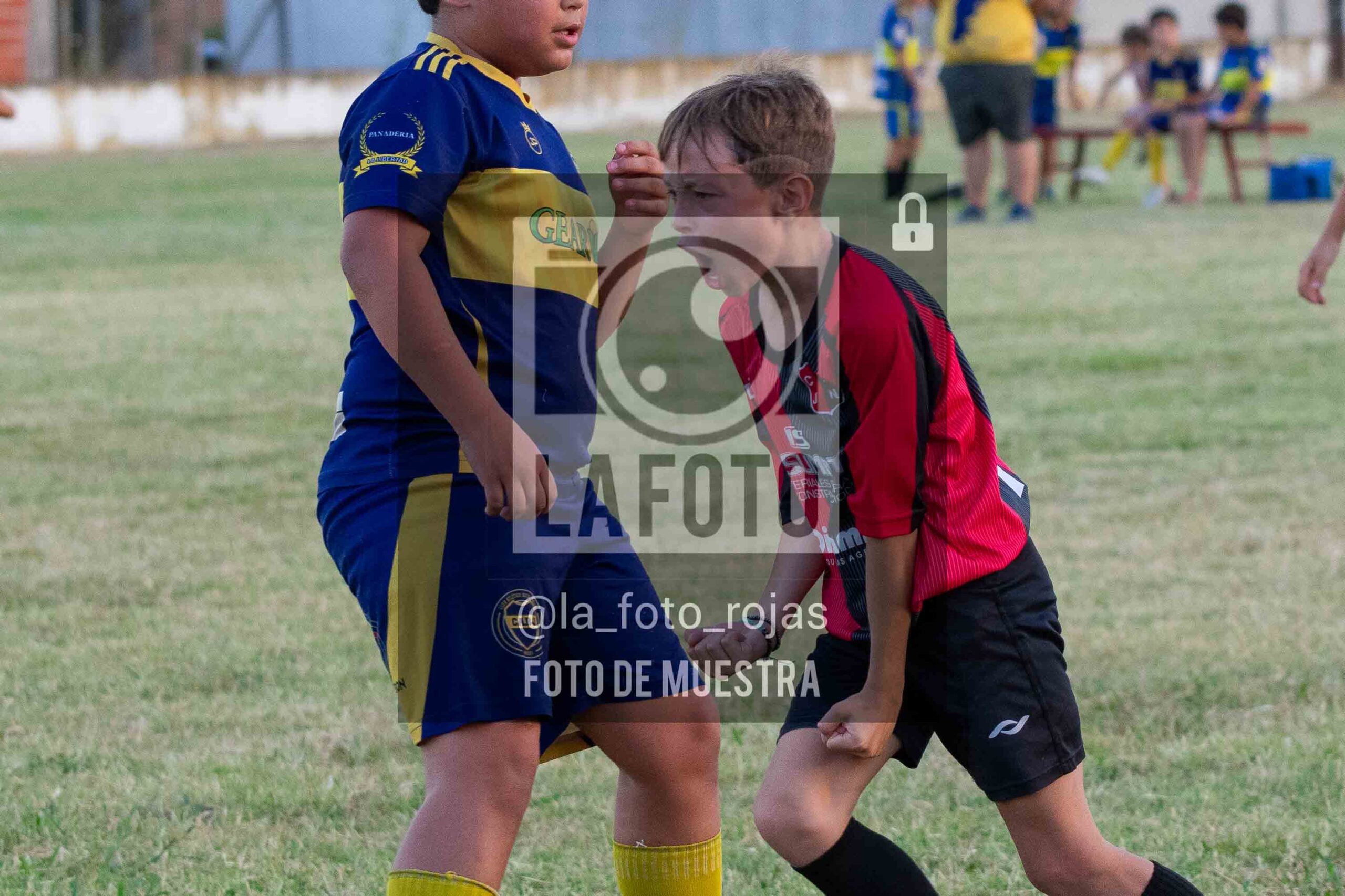 Fotografía 14-1-26-NEW-BOCA-83-scaled de 14-1-26 / MUNDIALITO JUVENTUD
