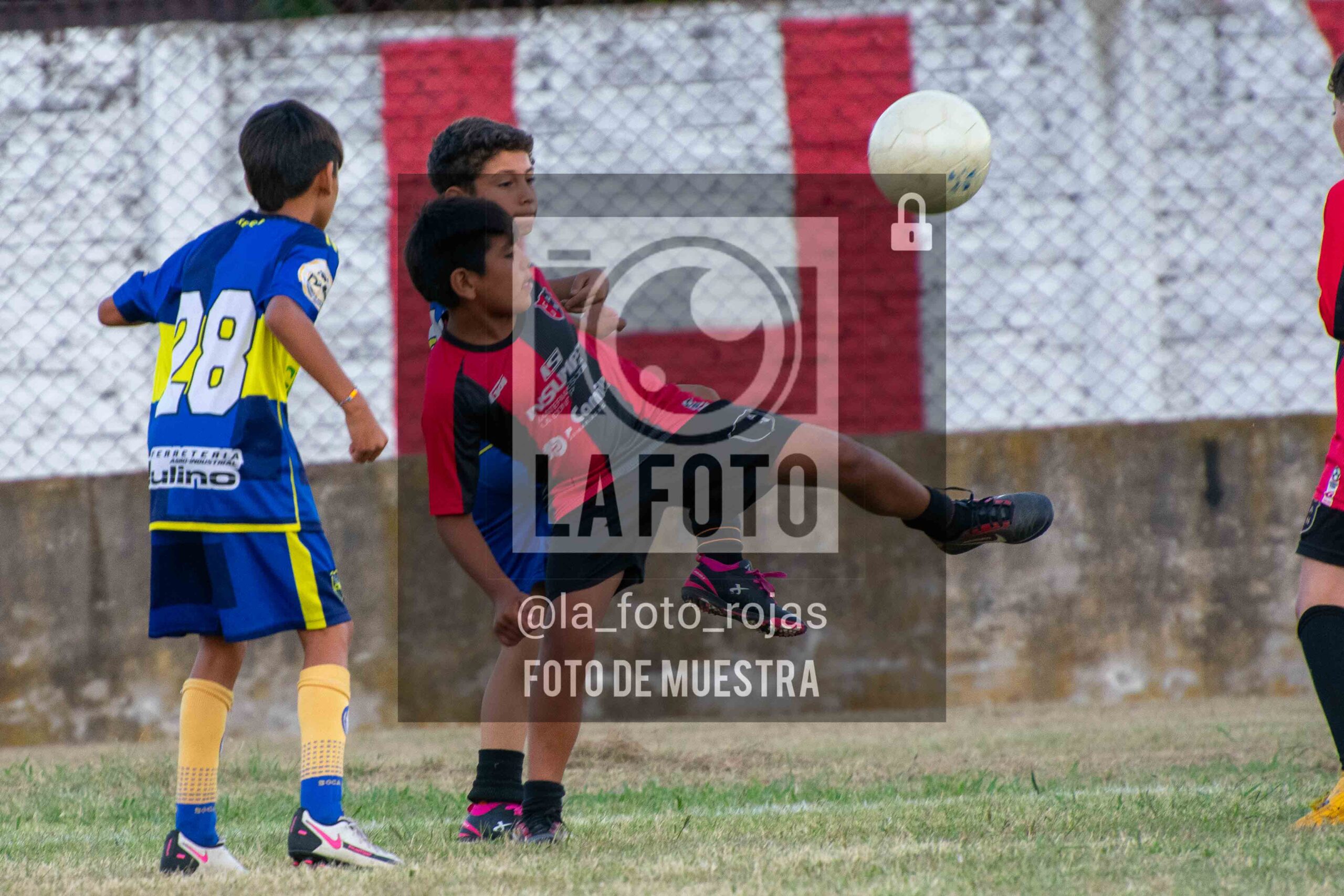 Fotografía 14-1-26-NEW-BOCA-9-scaled de 14-1-26 / MUNDIALITO JUVENTUD