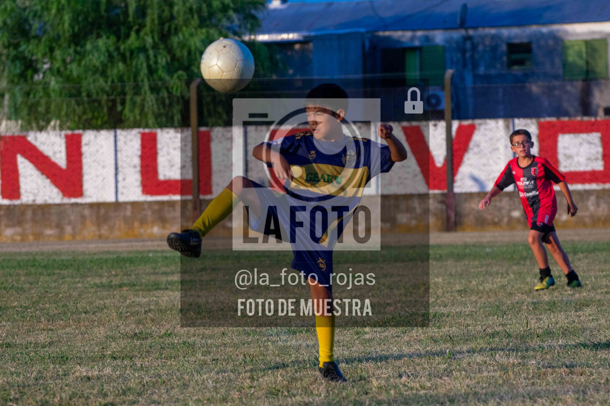 Fotografía 14-1-26-NEW-BOCA-96-scaled de 14-1-26 / MUNDIALITO JUVENTUD