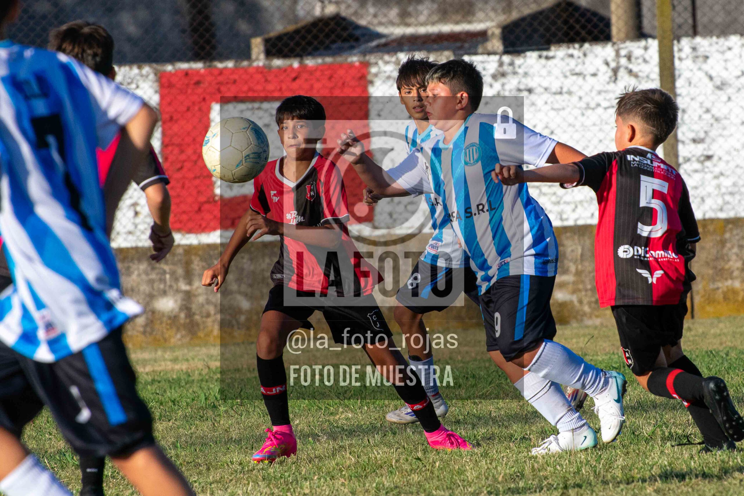 Fotografía 15-1-26-ARG-NEW-2014-10-scaled de MUNDIALITO JUVENTUD