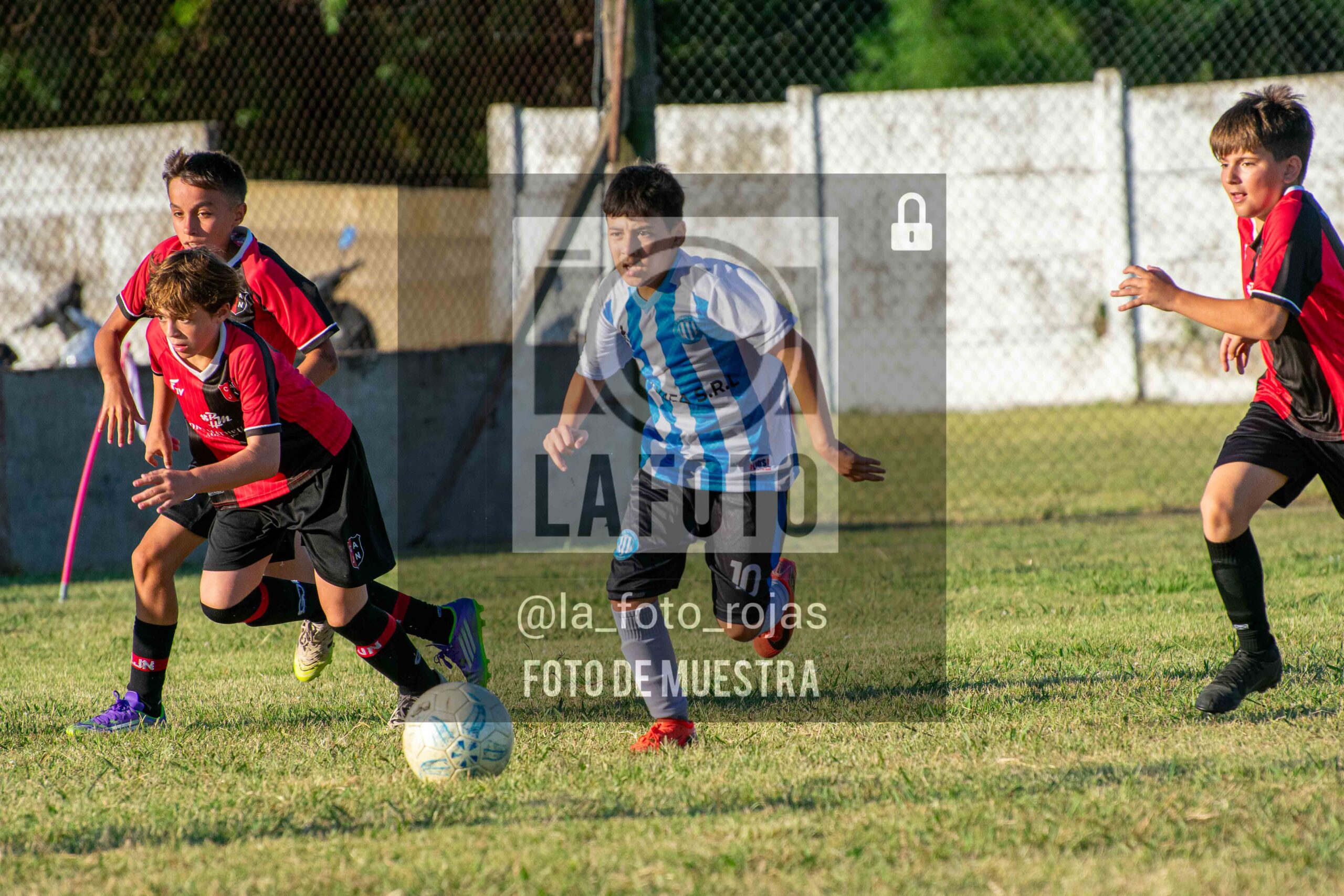 Fotografía 15-1-26-ARG-NEW-2014-12-scaled de MUNDIALITO JUVENTUD