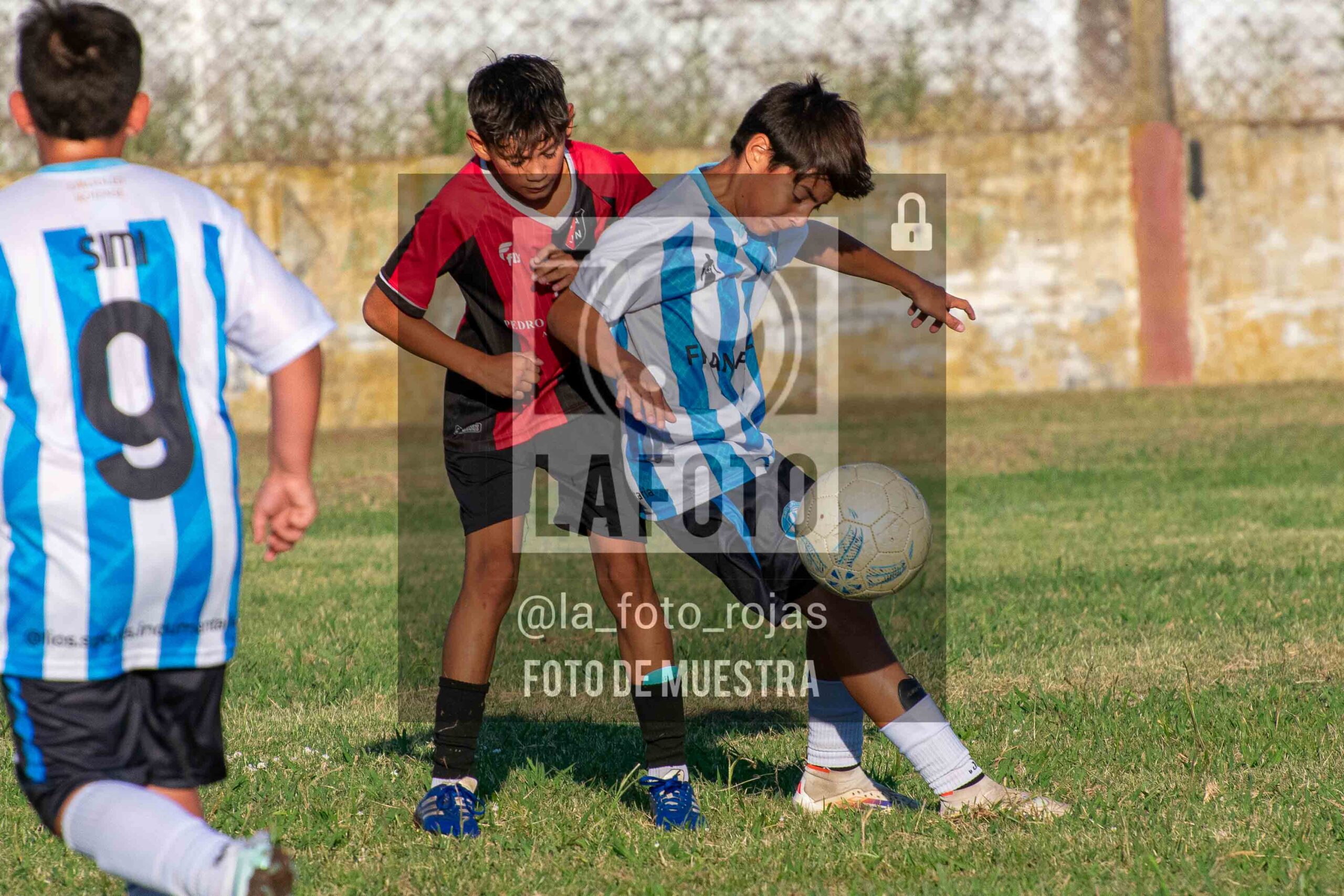 Fotografía 15-1-26-ARG-NEW-2014-23-scaled de MUNDIALITO JUVENTUD