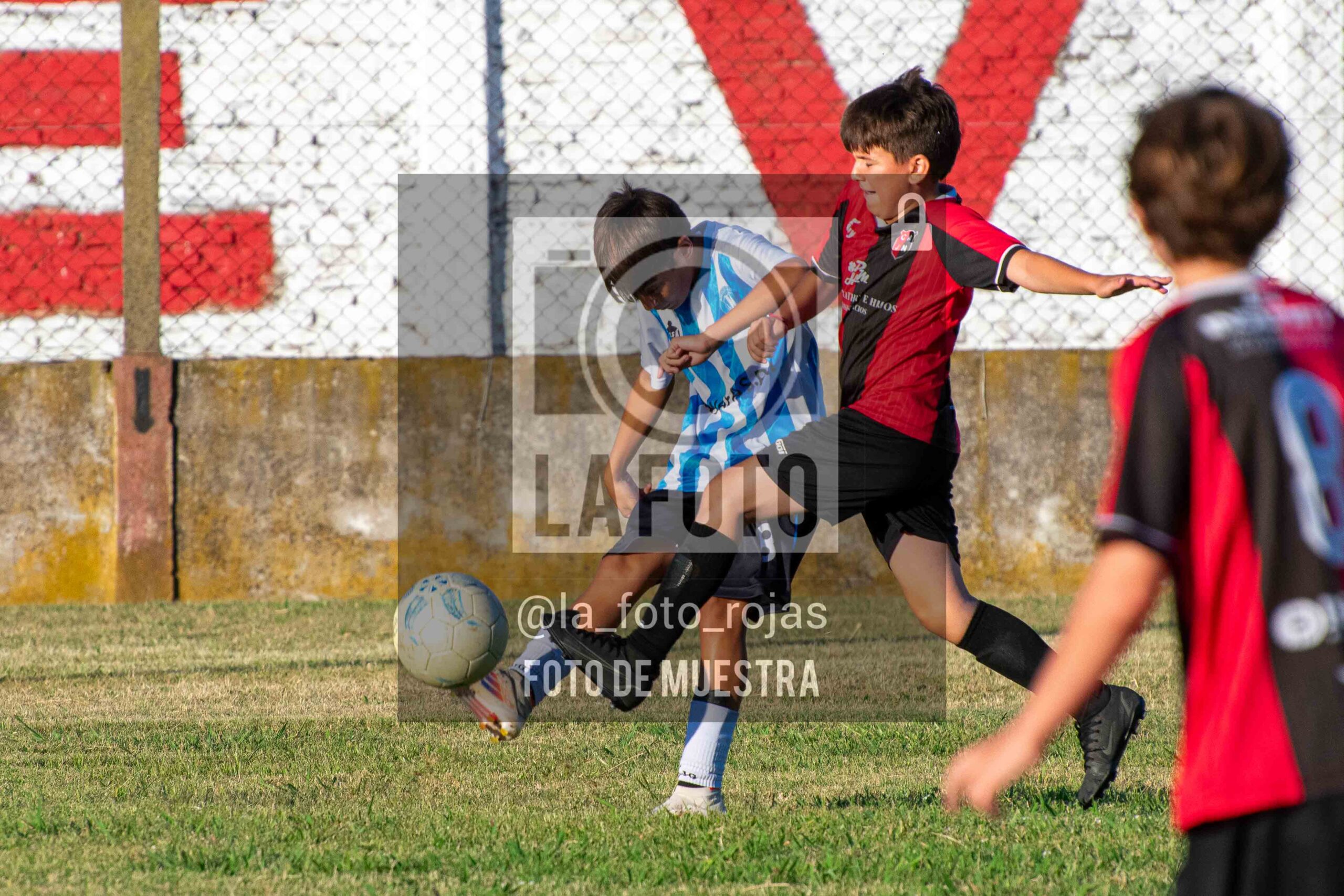 Fotografía 15-1-26-ARG-NEW-2014-24-scaled de MUNDIALITO JUVENTUD