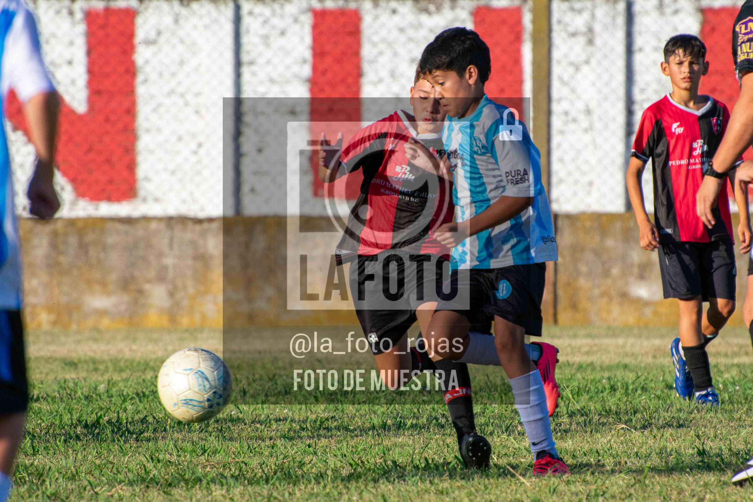 Fotografía 15-1-26-ARG-NEW-2014-6-scaled de MUNDIALITO JUVENTUD