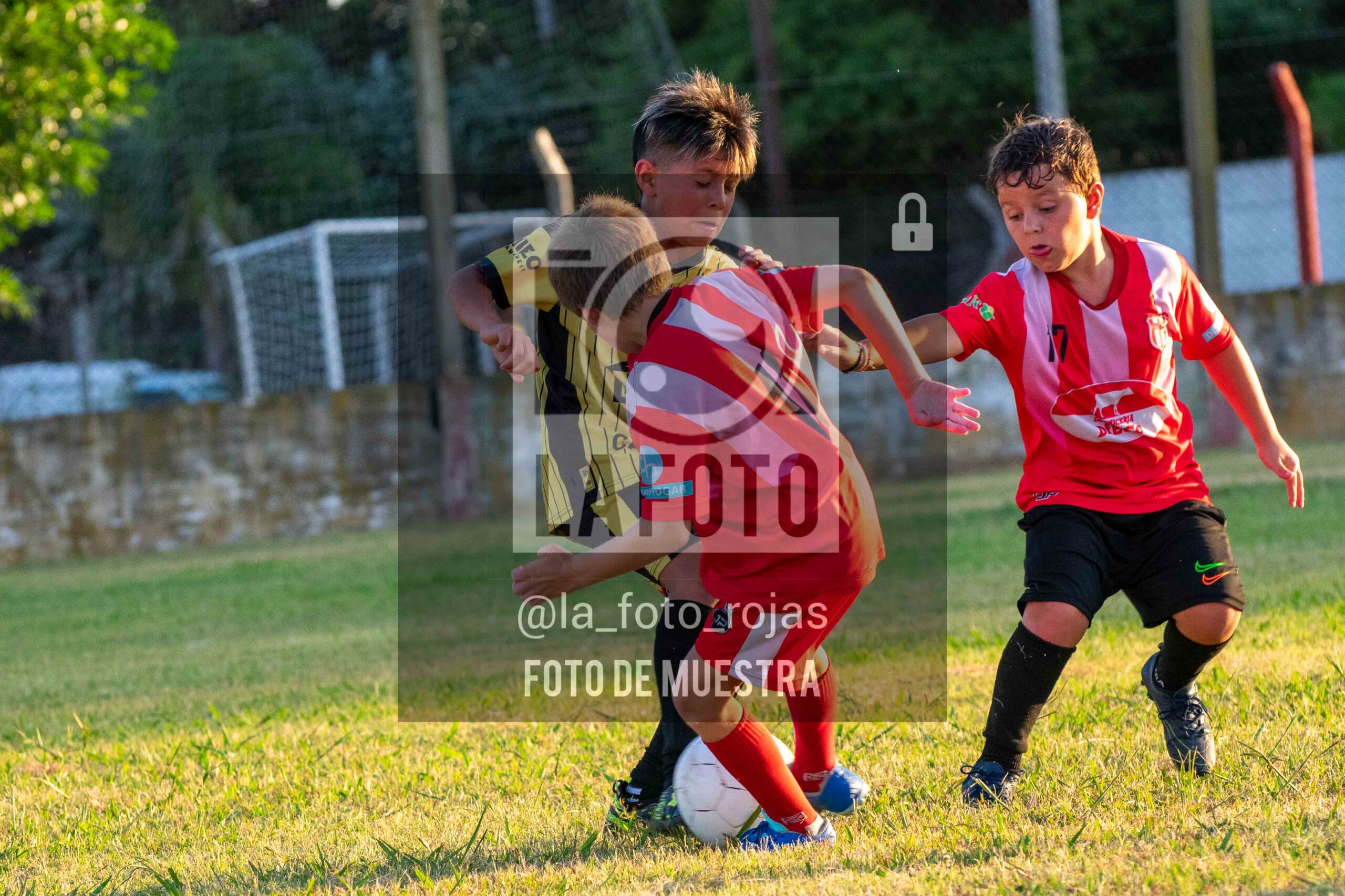 Fotografía 15-1-26-JUVE-HURA-2017-42-scaled de MUNDIALITO JUVENTUD