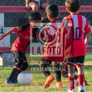 Fotografía 16-1-26-JUVE-NEW-INIC-11-scaled de MUNDIALITO JUVENTUD
