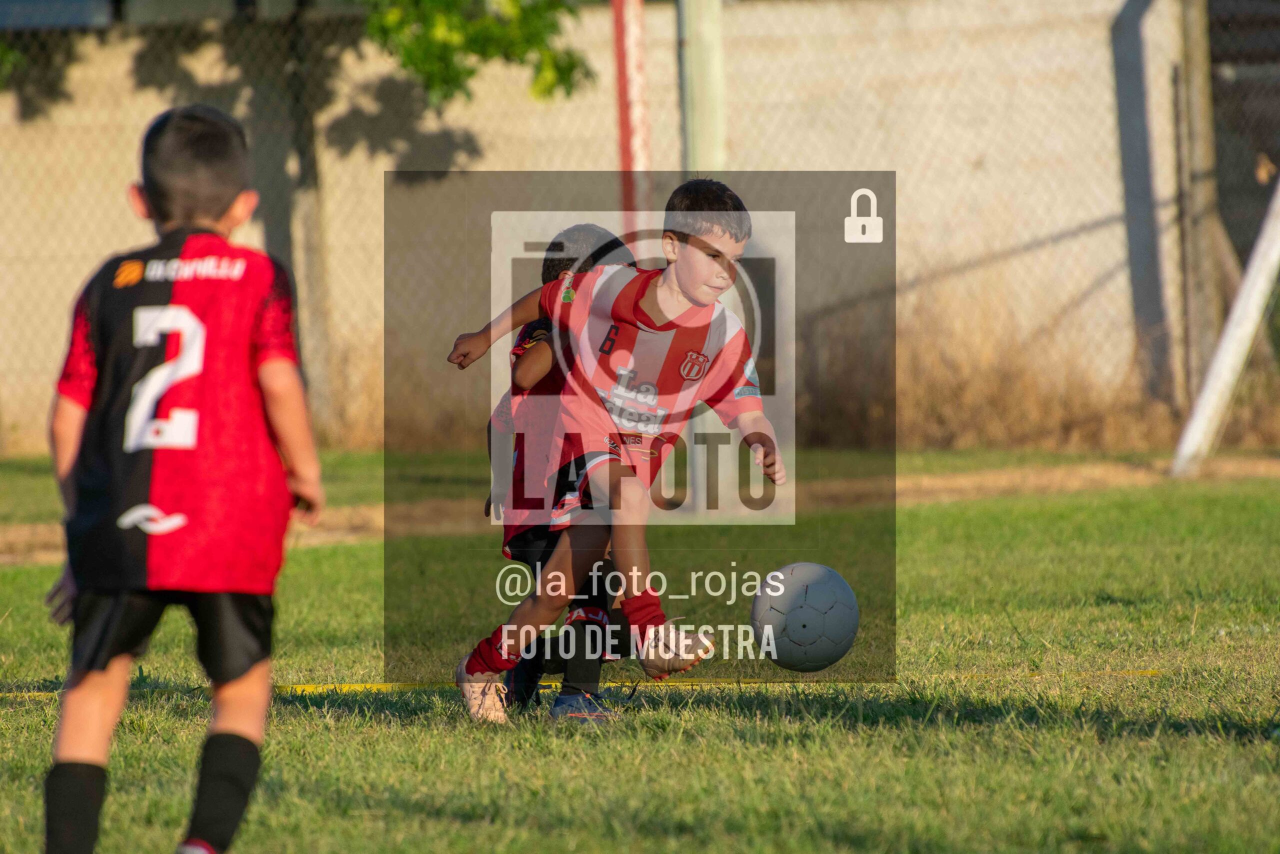 Fotografía 16-1-26-JUVE-NEW-INIC-35-scaled de MUNDIALITO JUVENTUD