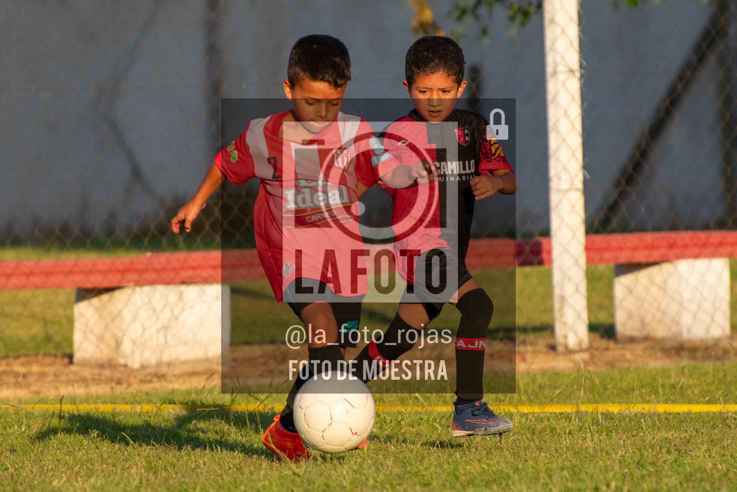 Fotografía 16-1-26-JUVE-NEW-INIC-37-scaled de MUNDIALITO JUVENTUD