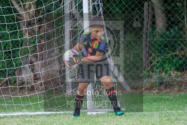 Fotografía 22226-MUND-ROJINE-1 de MUNDIALITO ROJINEGRO