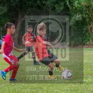 Fotografía 22226-MUND-ROJINE-10 de MUNDIALITO ROJINEGRO