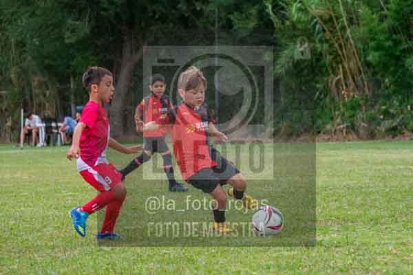 Fotografía 22226-MUND-ROJINE-10 de MUNDIALITO ROJINEGRO