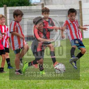 Fotografía 22226-MUND-ROJINE-109 de MUNDIALITO ROJINEGRO