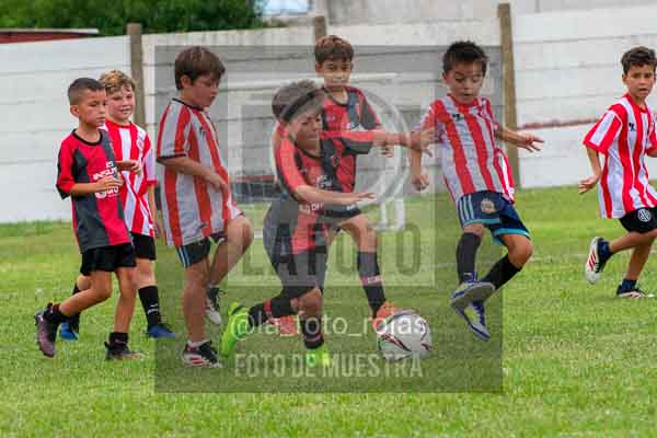 Fotografía 22226-MUND-ROJINE-109 de MUNDIALITO ROJINEGRO