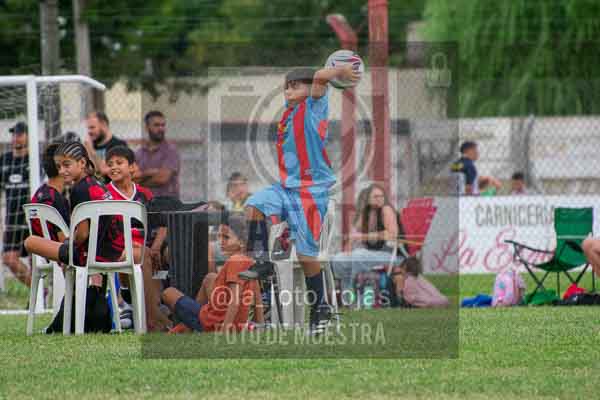 Fotografía 22226-MUND-ROJINE-11 de MUNDIALITO ROJINEGRO