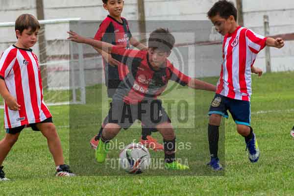 Fotografía 22226-MUND-ROJINE-129 de MUNDIALITO ROJINEGRO
