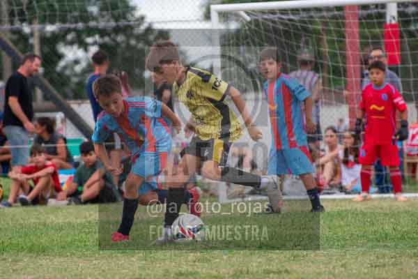 Fotografía 22226-MUND-ROJINE-13 de MUNDIALITO ROJINEGRO