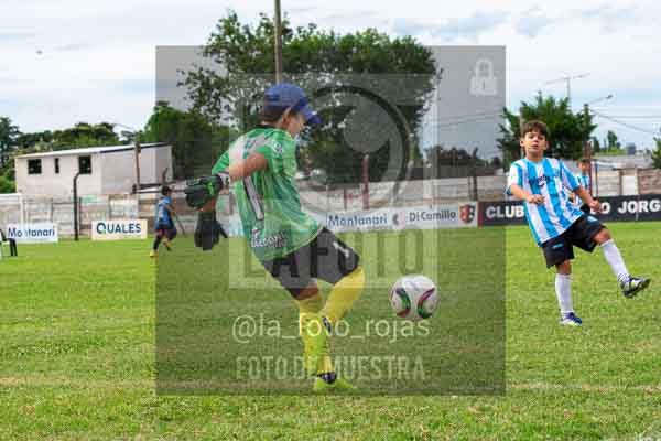 Fotografía 22226-MUND-ROJINE-14 de MUNDIALITO ROJINEGRO
