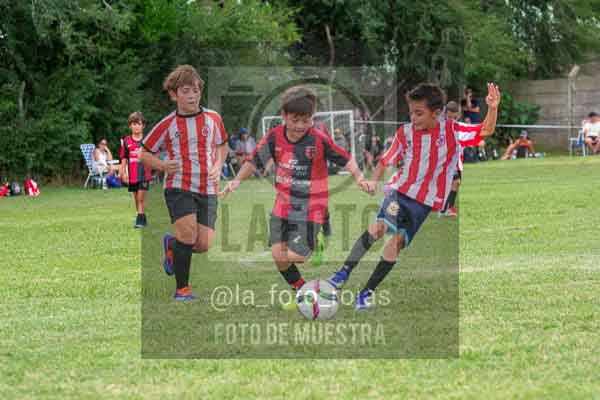 Fotografía 22226-MUND-ROJINE-17 de MUNDIALITO ROJINEGRO