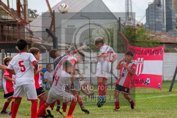 Fotografía 22226-MUND-ROJINE-19 de MUNDIALITO ROJINEGRO