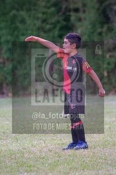 Fotografía 22226-MUND-ROJINE-2 de MUNDIALITO ROJINEGRO