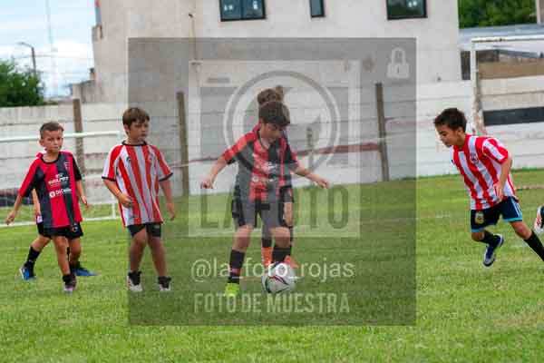 Fotografía 22226-MUND-ROJINE-25 de MUNDIALITO ROJINEGRO