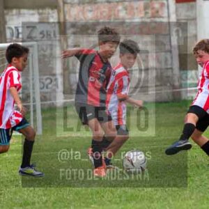 Fotografía 22226-MUND-ROJINE-27 de MUNDIALITO ROJINEGRO