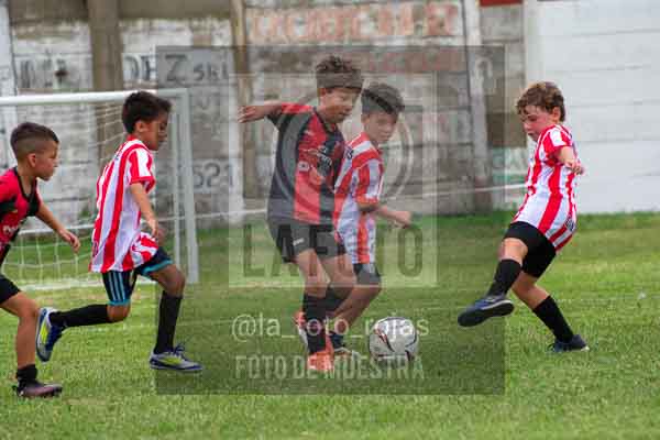 Fotografía 22226-MUND-ROJINE-27 de MUNDIALITO ROJINEGRO
