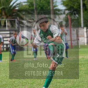 Fotografía 22226-MUND-ROJINE-28 de MUNDIALITO ROJINEGRO