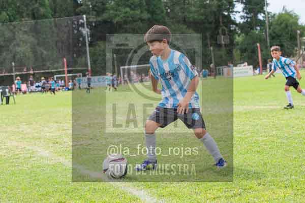 Fotografía 22226-MUND-ROJINE-33 de MUNDIALITO ROJINEGRO