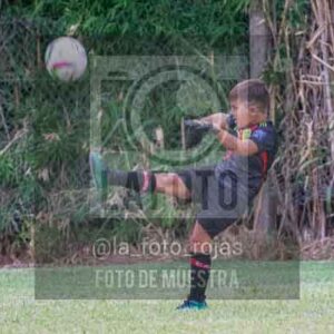 Fotografía 22226-MUND-ROJINE-35 de MUNDIALITO ROJINEGRO