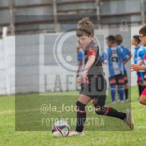Fotografía 22226-MUND-ROJINE-41 de MUNDIALITO ROJINEGRO