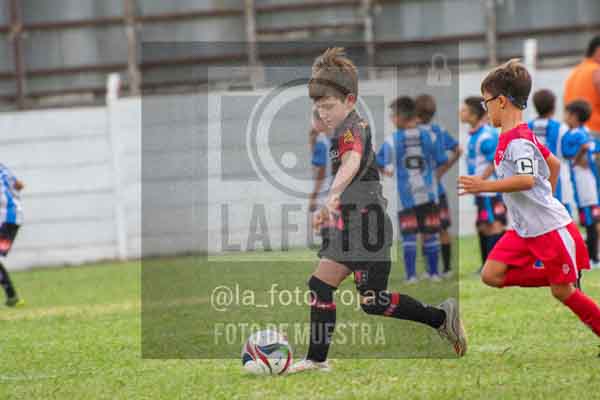 Fotografía 22226-MUND-ROJINE-41 de MUNDIALITO ROJINEGRO