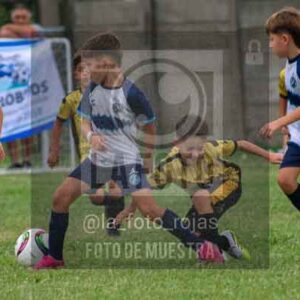 Fotografía 22226-MUND-ROJINE-47 de MUNDIALITO ROJINEGRO