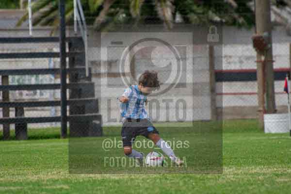 Fotografía 22226-MUND-ROJINE-50 de MUNDIALITO ROJINEGRO