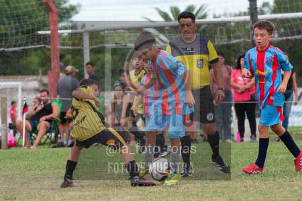 Fotografía 22226-MUND-ROJINE-52 de MUNDIALITO ROJINEGRO
