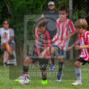Fotografía 22226-MUND-ROJINE-54 de MUNDIALITO ROJINEGRO
