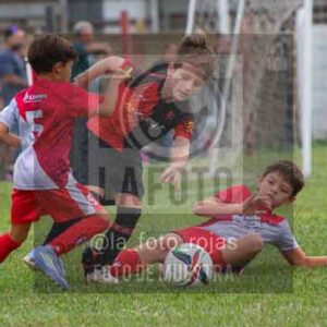 Fotografía 22226-MUND-ROJINE-55 de MUNDIALITO ROJINEGRO